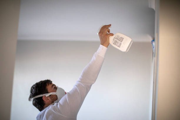 Crawl Space Mold Removal in Bluffton, OH